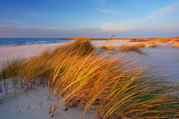 Wydmy na wybrzeżu Morza Bałtyckiego,plaża, trawa,biały piasek,Kołobrzeg,Polska.