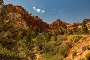 Zion National Park, Utah, USA