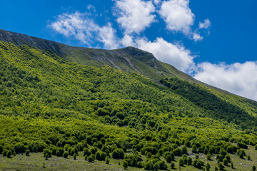 Obraz premium landscape in the summer