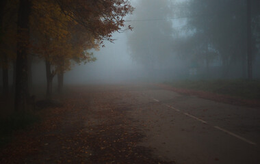 Fototapeta na wymiar Thick fog in the park in autumn