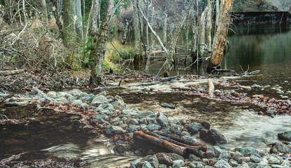 兵庫県・三田市の渓谷美