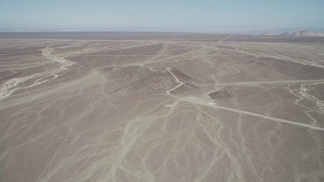 Figura del felino hallado en las pampas de Nazca.