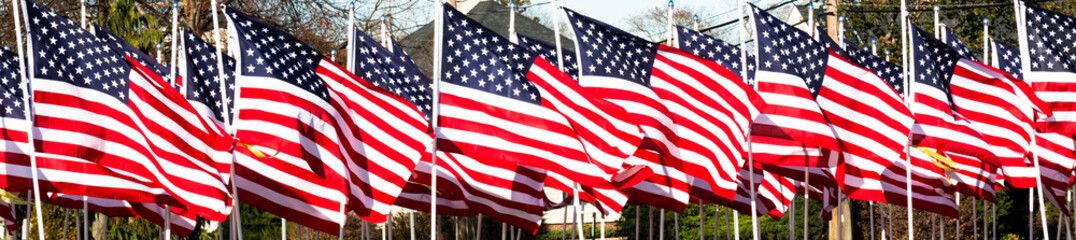 Horizontal view of American Flags