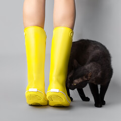 Young woman legs in Illuminating yellow rubber boots on tiptoe with black cat on Ultimate Gray...