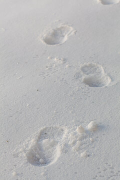Tracing foot steps of a person on snow at dark.  image shows the footprints of scattered along the snow covered ground. There are marks on the snow imprinted by raindrops. Surface is smooth.
