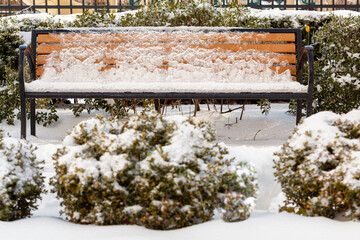 Vintage wooden benches in a park and shrubs around are covered with ice and snow after a heavy snow...