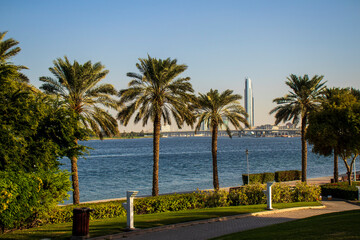 Fototapeta premium View of D1 tower in Dubai. Shot made from creek park. UAE