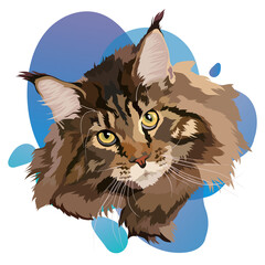 Maine Coon vector illustration on a colored background, portrait. Brown color, head