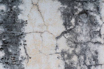 Grungy Rough Concrete Wall texture