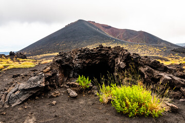 Mount Etna volcanic landscape and its typical summer vegetation