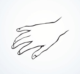 Relaxed hand. Vector drawing