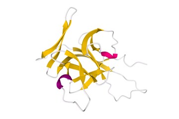 Structure of human interleukin-33, 3D cartoon model isolated with differently colored elements of the secondary structure, white background