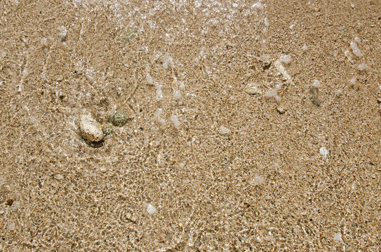 Puerto Rico, Coco Beach, Sand with stones and shells