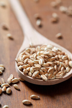 Spoon full of farro