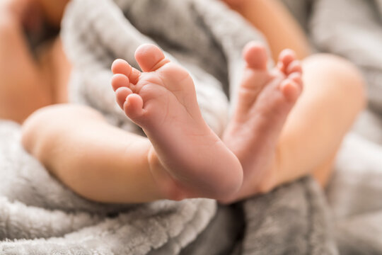 Baby boy's (0-1 months) feet