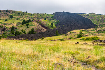 Fototapeta na wymiar Mount Etna volcanic landscape and its typical summer vegetation