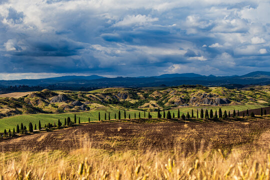 Colline con cipressi e grano in giornata nuvolosa nelle crete senesi
