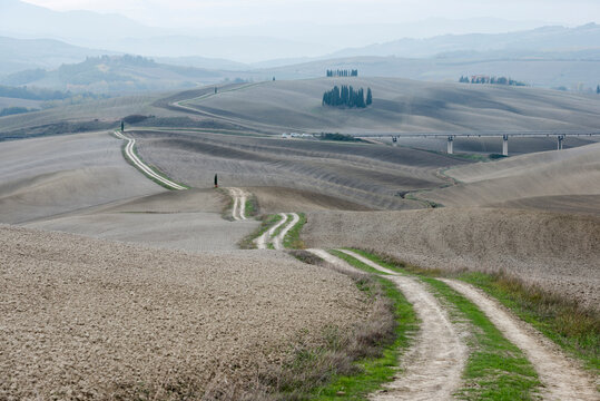 Italy, Tuscany, San Quirico D'orcia, Long twisting rural road leading through endless gray fields and lonely cypress trees