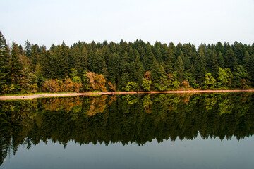 Fototapeta premium Tranquil