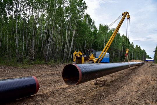 Natural gas pipeline construction work in forest area. Crude oil pipe and   petrochemical pipe on top of wooden supports. Installation and construction the pipeline for transport gas to LNG plant