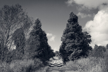 winter in the mountains