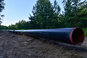 Natural gas pipeline construction work in forest area. Crude oil pipe and   petrochemical pipe on top of wooden supports. Installation and construction the pipeline for transport gas to LNG plant
