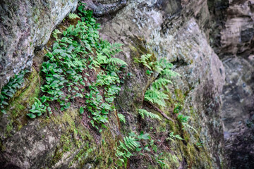 Mill Bluff State park in Wisconsin 