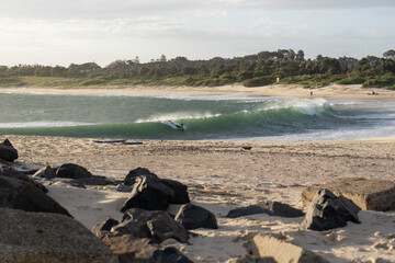Bodyboarder boogie border catching a wave at Malabar beach in Sydney Australia