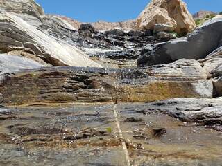 Spring fondles rocks