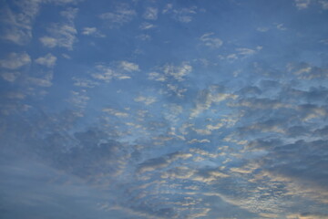 sheet of tufts of white cloud (Altocumulus), illuminated by the evening light, under a blue sky.