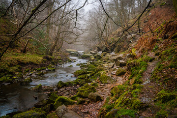 River landscape in North York Moors National Park, Yorkshire, United Kingdom