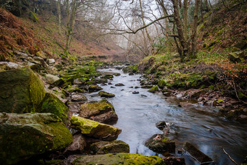 River landscape in North York Moors National Park, Yorkshire, United Kingdom