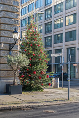 Fototapeta na wymiar Christmas tree at the street Behrenstrasse in Berlin, Germany