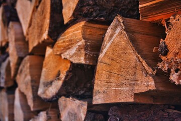 Gestapelter Holzhaufen der für Feuerholz genutzt wird