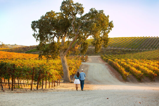 Woman in white dress and denim jacket and Man with cowboy hat and plaid shirt walking down dirt road as a couple close together on dirt road through romantic sun-drenched vineyard at sunset in autumn