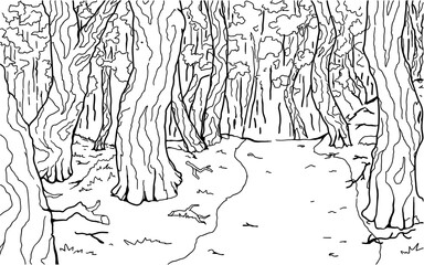 Dense Forest Footpath Background Line Drawing