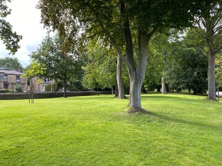 Parkland, with old trees, close to, North Park road, Bradford, Yorkshire, UK