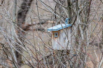 braunes Vogelhaus im Wald am Baum