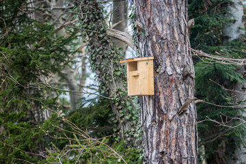 Vogelhaus an einem Holzstamm im Wald