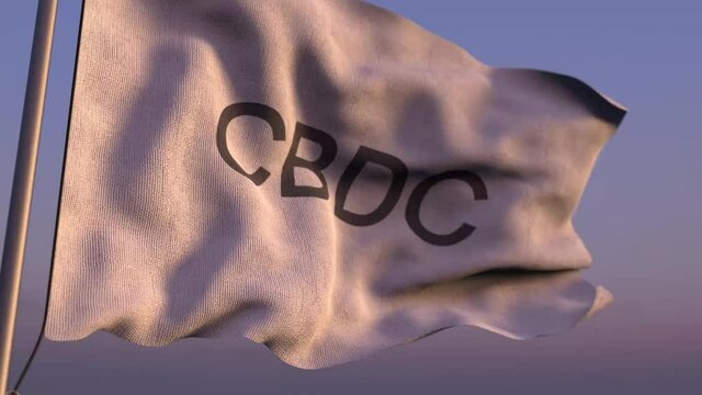 CBDC (Central Bank Digital Currency) flag
