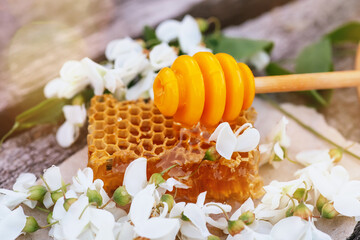 Obraz na płótnie Canvas Honey Dipper , Honey Stick lies on piece of cut-off fresh honey in honeycombs. Acacia honey in gar on wooden background. Spring mood. Selective focus.