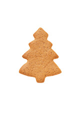 Christmas gingerbread cookie, festive homemade sweet cookie, isolated on white background
