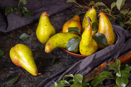 Rural still life, low key dark photography - view of a Conference pear in clay dishes with old rusty knife, closeup with selective focus