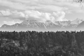 schwarz-weiss Aufnahme von Bergen mit Wald davor in Feldkirch in Österreich