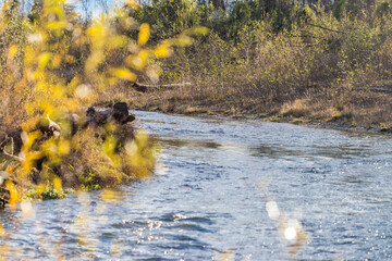 Landschaft mit Fluss in der Schweiz