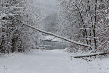 Frozen  Landscape road