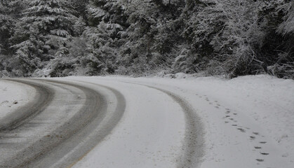 Naklejka premium snowy street with forest and footprints
