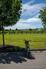 Naklejka premium A bike next to a vineyard in Martinborough New Zealand