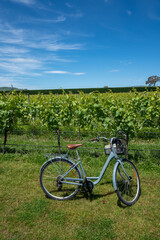 Fototapeta na wymiar A bike next to a vineyard in Martinborough New Zealand