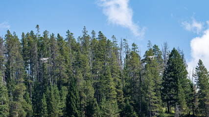 Drone Flying in a Forest, Drone Flying Above Trees